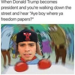 Meet your Posher, George